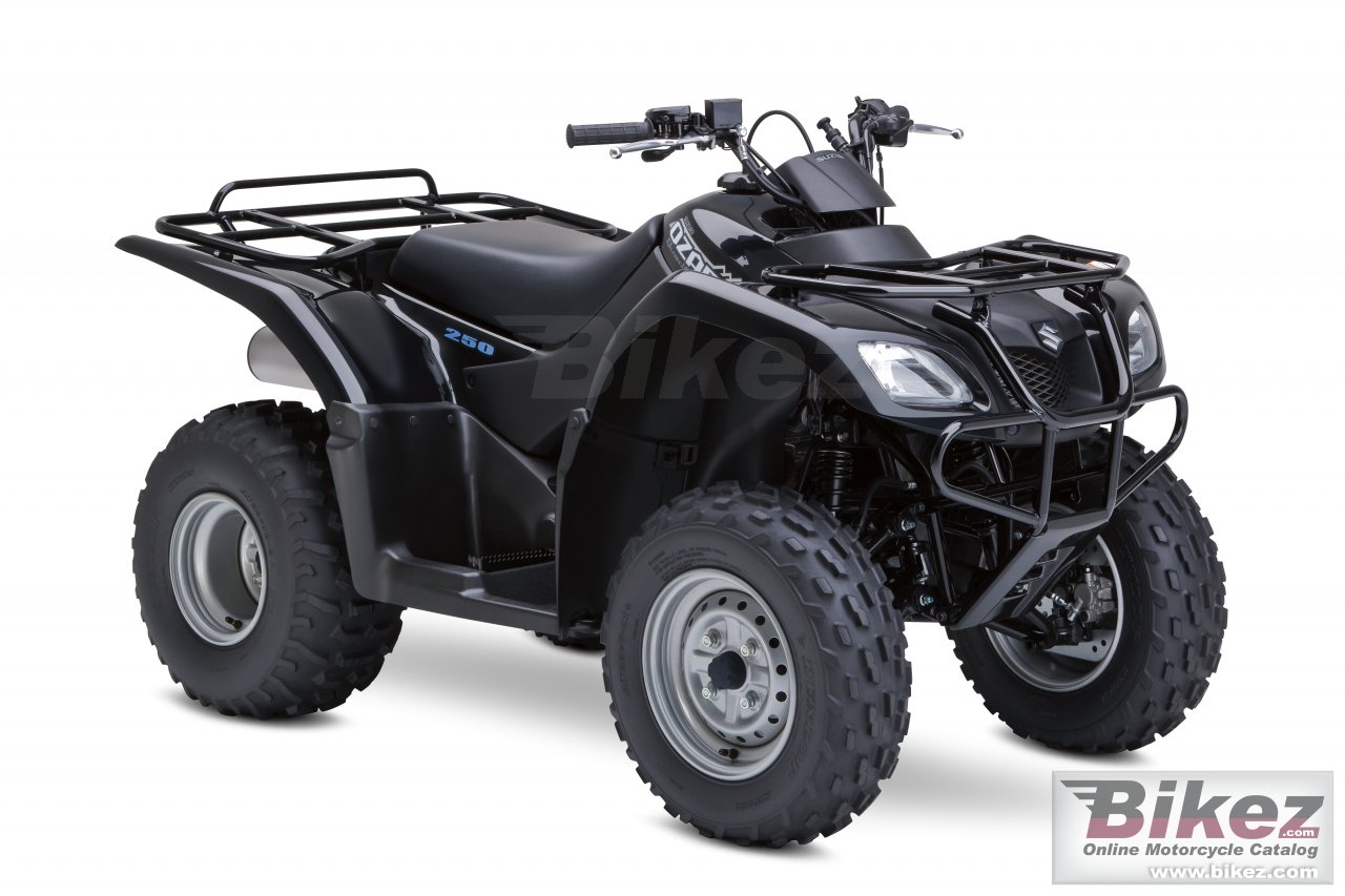 Big Suzuki ozark 250 picture and wallpaper from Bikez.com